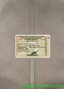 Bolivia ID photolook BACK